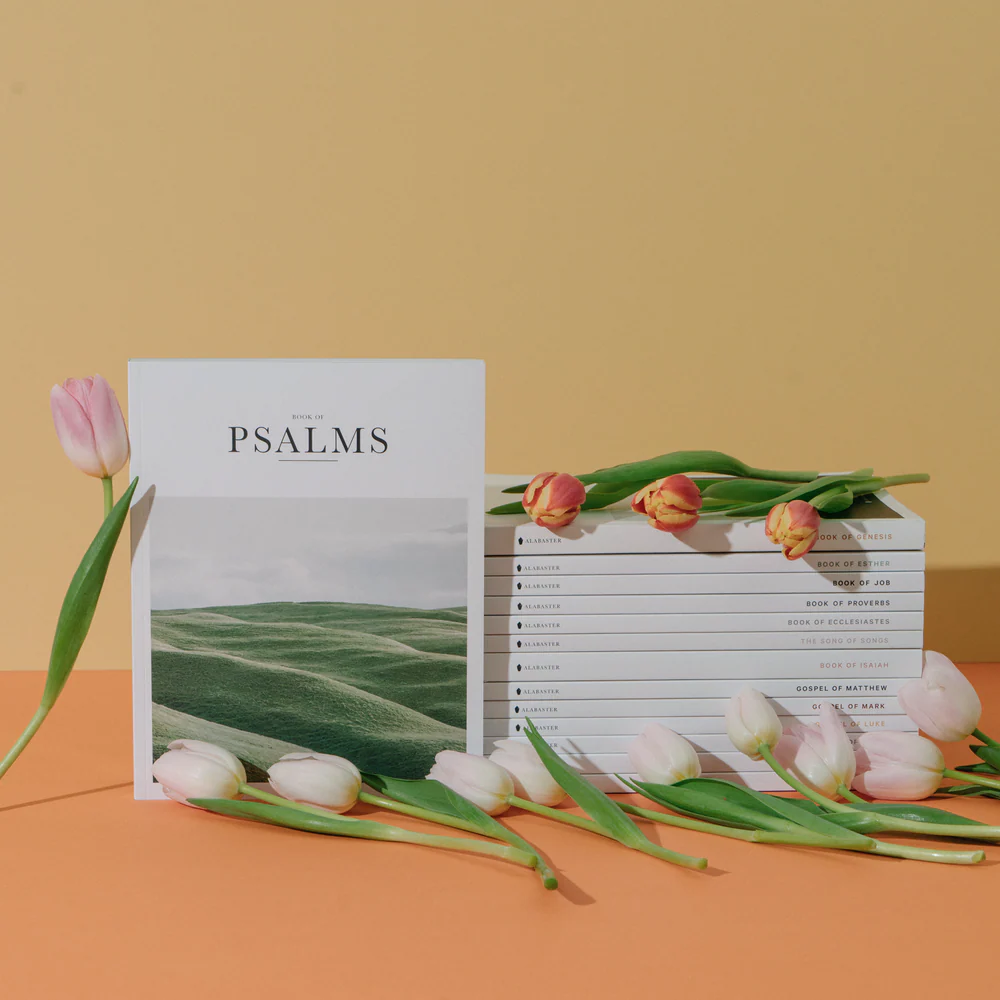 Experience the Bible Made Beautiful